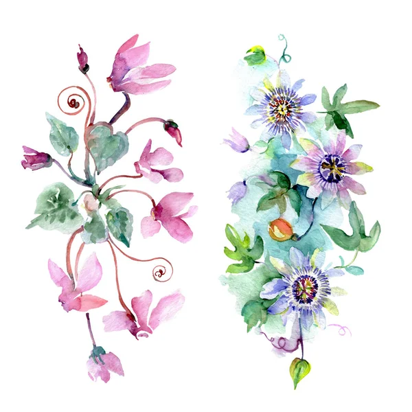 Bukett blommiga botaniska blommor. Akvarell bakgrund illustration uppsättning. Isolerade buketter illustration element. — Stockfoto