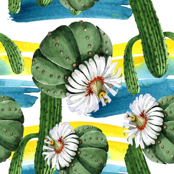 Green cactus floral botanical flower. Watercolor background illustration set. Seamless background pattern. — Stock Photo, Image