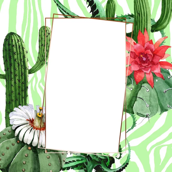 Flor botánica floral de cactus verde. Conjunto de ilustración de fondo acuarela. Marco borde ornamento cuadrado . — Foto de Stock