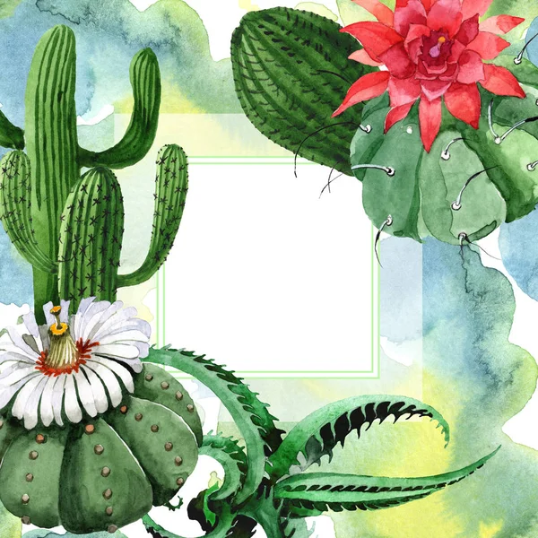 緑のサボテンの花の植物の花。●水彩背景イラストセット。フレームボーダーオーナメント正方形. — ストック写真
