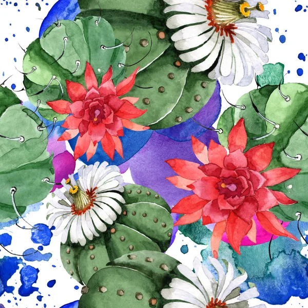 Flor botánica floral de cactus verde. Conjunto de ilustración de fondo acuarela. Patrón de fondo sin costuras . — Foto de Stock