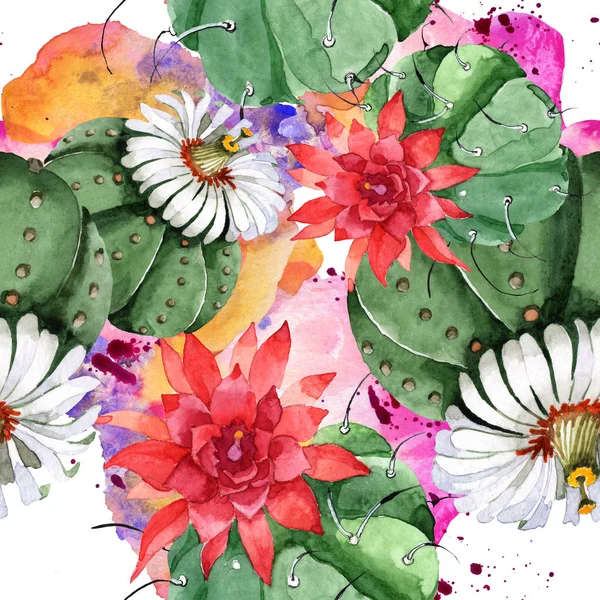 Grön kaktus blommig botanisk blomma. Akvarell bakgrund illustration uppsättning. Sömlöst bakgrundsmönster. — Stockfoto