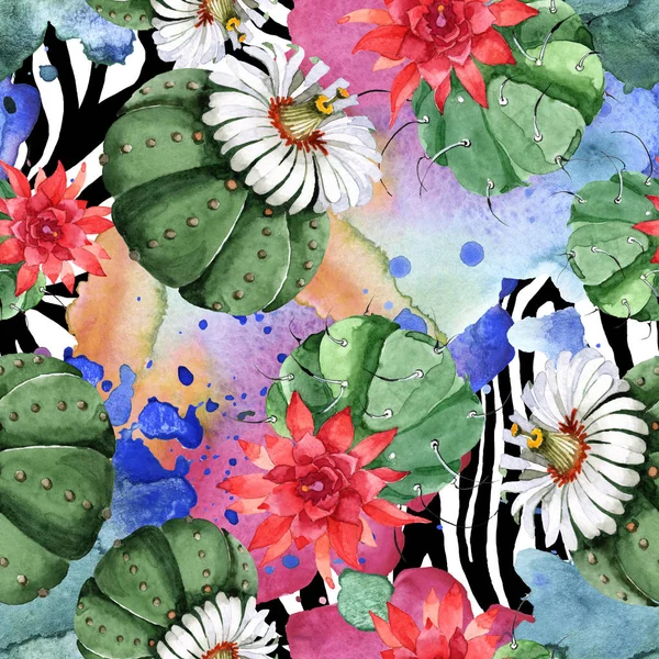 Fleurs botaniques florales de cactus vert. Ensemble d'illustration de fond aquarelle. Modèle de fond sans couture . — Photo