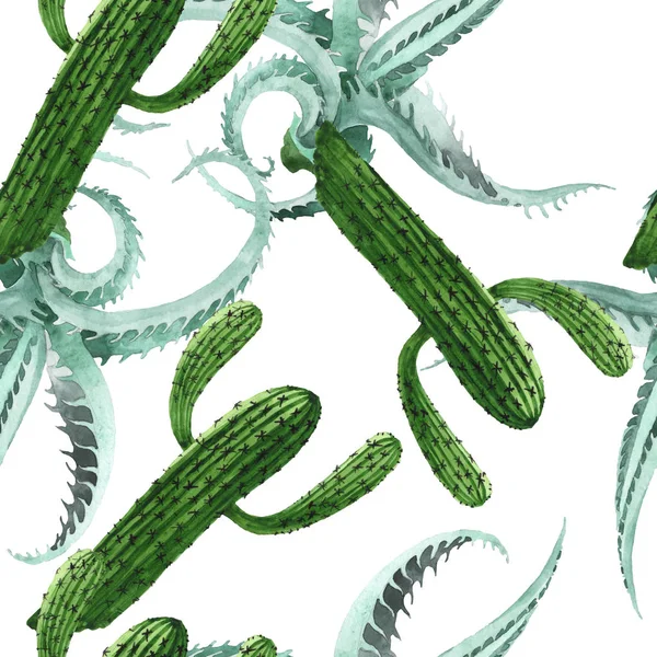 Flor botánica floral de cactus verde. Conjunto de ilustración de fondo acuarela. Patrón de fondo sin costuras . — Foto de Stock