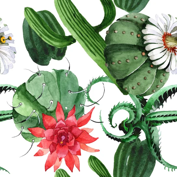 Groene cactus bloemen botanische bloem. Aquarel achtergrond illustratie instellen. Naadloos achtergrond patroon. — Stockfoto