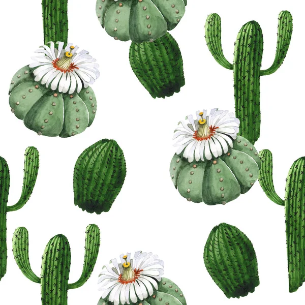 Green cactus floral botanical flower. Watercolor background illustration set. Seamless background pattern. — Stock Photo, Image