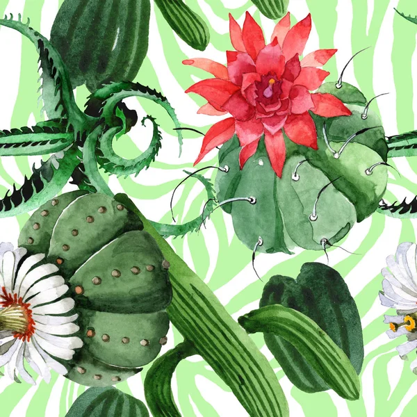 Groene cactus bloemen botanische bloem. Aquarel achtergrond illustratie instellen. Naadloos achtergrond patroon. — Stockfoto