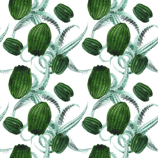 Green cactus floral botanical flower. Watercolor background illustration set. Seamless background pattern.