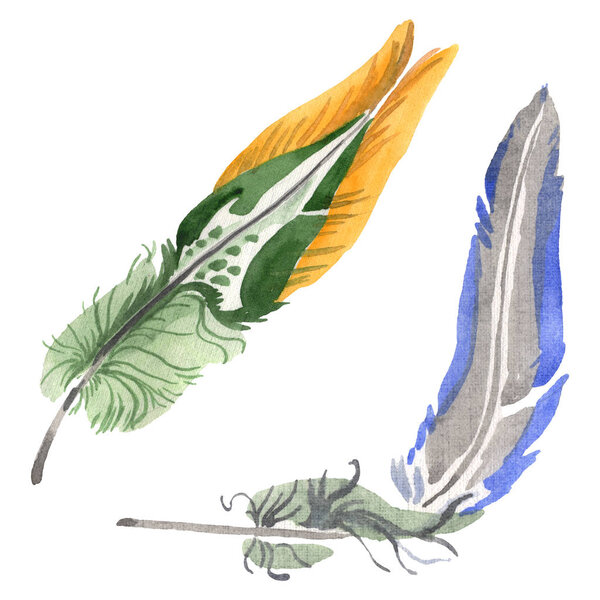 Watercolor bird feather from wing isolated. Aquarelle feather for background. Isolated feather illustration element.