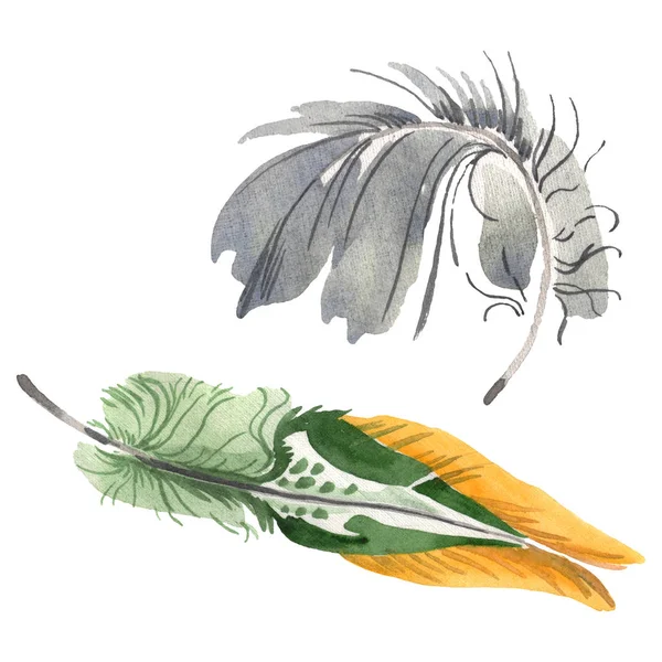 Акварельне пташине перо з крила ізольоване. Пір'я акварелі для тла. Ізольований елемент ілюстрації пір'я . — стокове фото