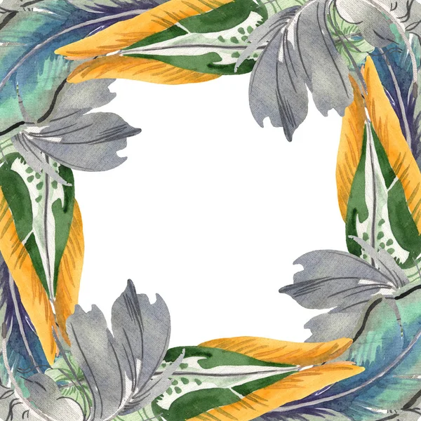 Watercolor bird feather from wing isolated. Aquarelle feather for background. Frame border ornament square. — Stock Photo, Image