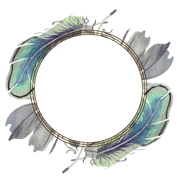 Watercolor bird feather from wing isolated. Aquarelle feather for background. Frame border ornament square. — Stock Photo, Image