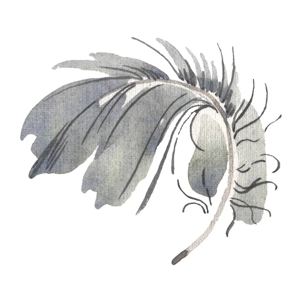 Acuarela pluma de pájaro de ala aislada. Pluma de Aquarelle para el fondo. Elemento de ilustración de plumas aisladas . — Foto de Stock