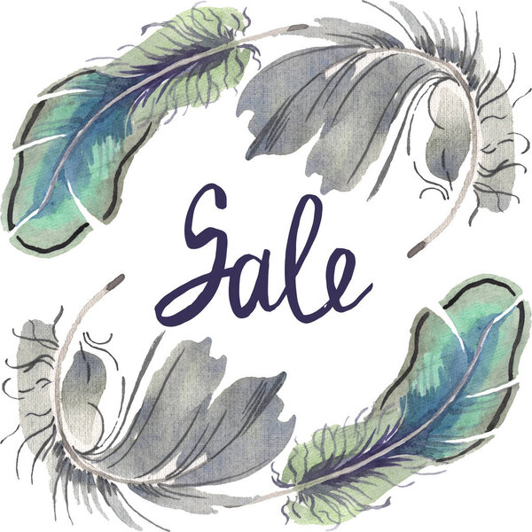Watercolor bird feather from wing isolated. Aquarelle feather for background. Frame border ornament square.