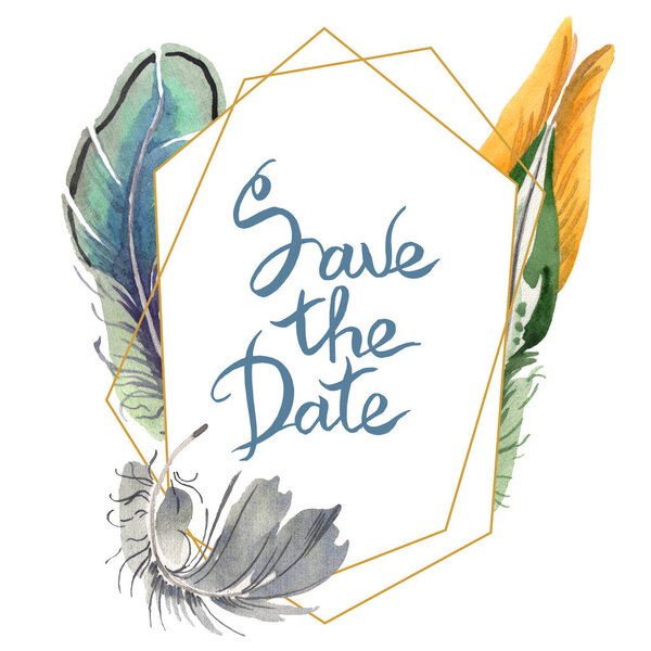 Watercolor bird feather from wing isolated. Aquarelle feather for background. Frame border ornament square.