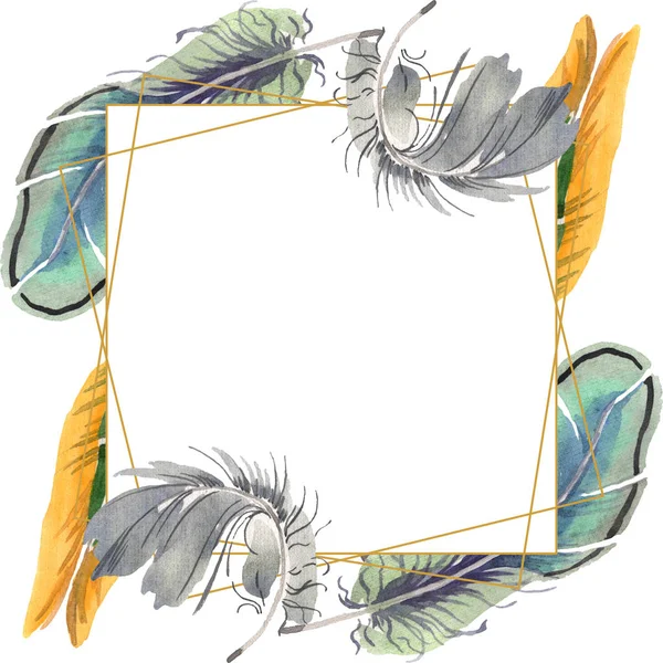 Piuma di uccello acquerello da ala isolata. Piuma di acquarello per sfondo. Quadrato ornamento bordo cornice . — Foto Stock
