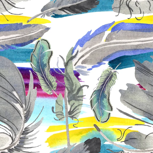 Akvarell madár toll a szárny elszigetelt. Aquarelle toll a háttérben. Folytonos háttérmintázat. — Stock Fotó