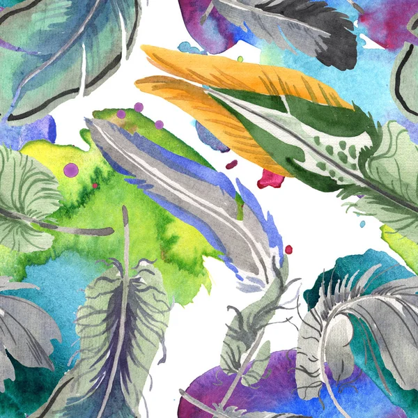 Watercolor bird feather from wing isolated. Aquarelle feather for background. Seamless background pattern. — Stock Photo, Image