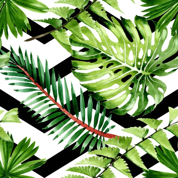 Palmera deja la selva botánica. Conjunto de ilustración de fondo acuarela. Patrón de fondo sin costuras . — Foto de Stock