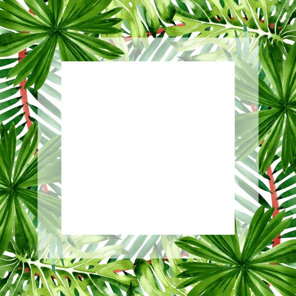 Palma albero da spiaggia lascia giungla botanica. Acquerello sfondo illustrazione set. Quadrato ornamento bordo cornice . — Foto Stock
