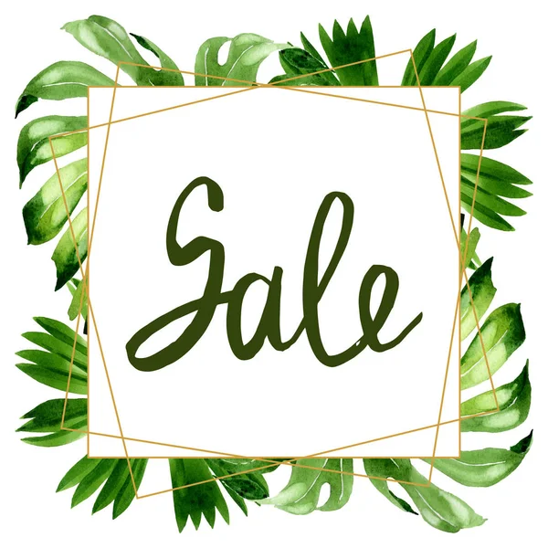 Palm beach tree leaves jungle botanical. Watercolor background illustration set. Frame border ornament square.