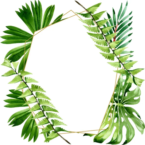 Palm Beach Tree pozostawia dżungli botanicznych. Akwarela zestaw ilustracji tła. Obramowanie ramy ornament kwadrat. — Zdjęcie stockowe