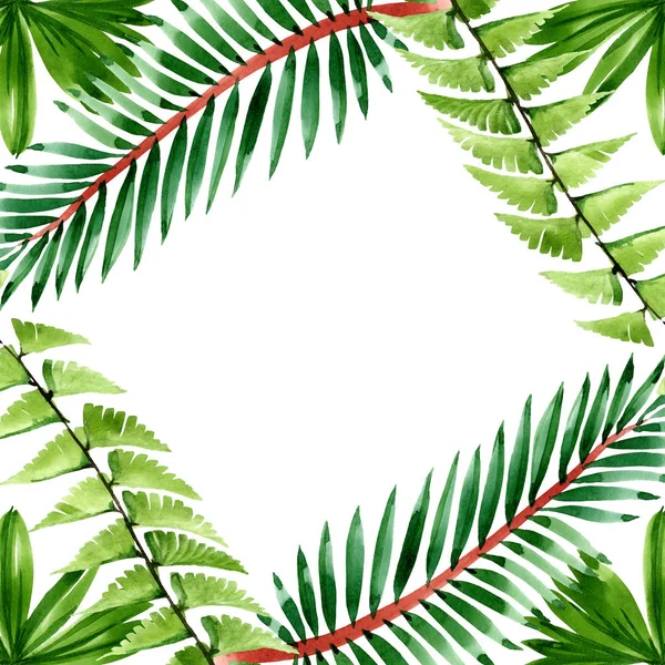 Palm beach tree leaves jungle botanical. Watercolor background illustration set. Frame border ornament square.