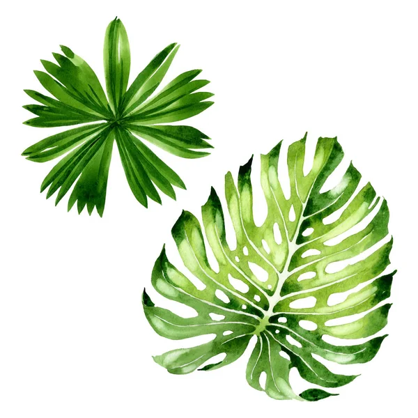 Palm beach tree leaves jungle botanical. Watercolor background illustration set. Isolated leaf illustration element. — Stock Photo, Image