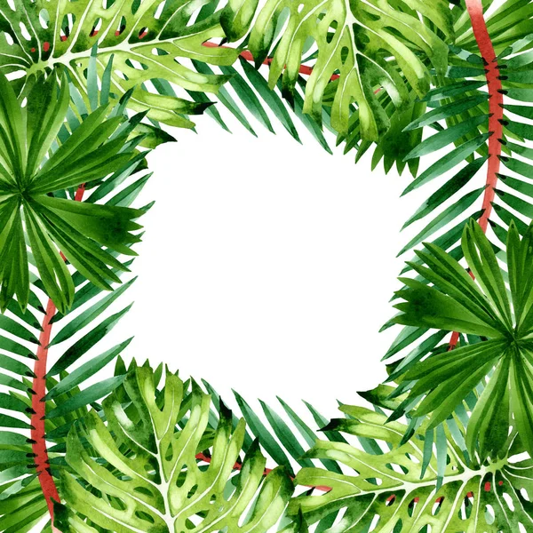 Το δέντρο Παλμ Μπιτς αφήνει βοτανική ζούγκλα. Σύνολο εικονογράφησης φόντου. Κορνίζα περίγραμμα στολίδι τετράγωνο. — Φωτογραφία Αρχείου