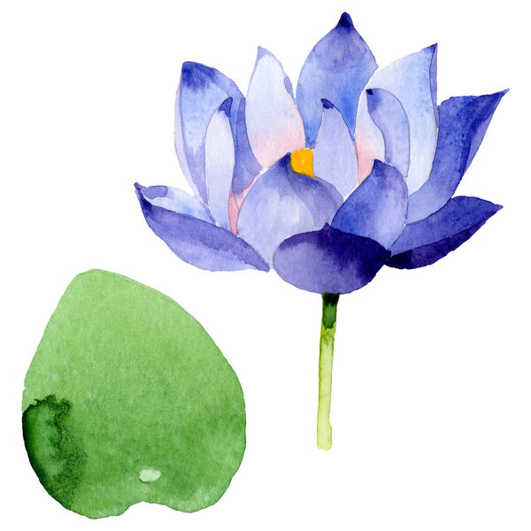 Blue lotus floral botanical flowers. Watercolor background illustration set. Isolated nelumbo illustration element.