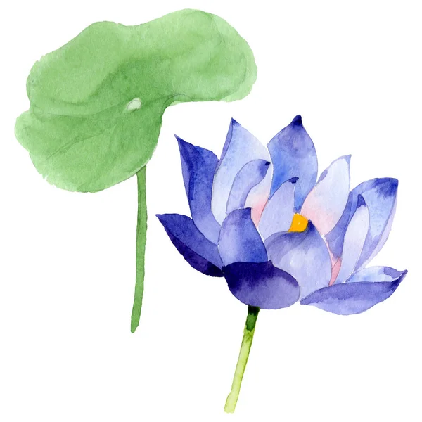 Blå Lotus blommiga botaniska blommor. Akvarell bakgrund illustration uppsättning. Isolerat Nelumbo illustration element. — Stockfoto