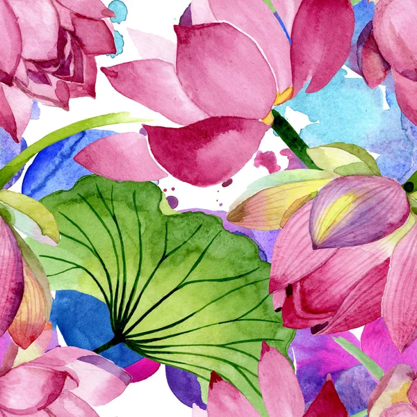 Flores botánicas florales de loto rosa. Conjunto de ilustración de fondo acuarela. Patrón de fondo sin costuras . — Foto de Stock