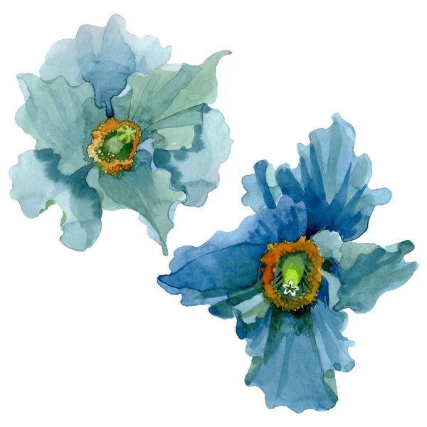 Fiori botanici floreali di papavero blu. Acquerello sfondo illustrazione set. Elemento di illustrazione papaveri isolati . — Foto Stock