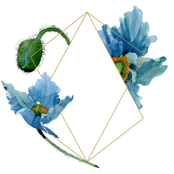 Flor de papoula azul flores botânicas. Conjunto de ilustração de fundo aquarela. Quadro borda ornamento quadrado . — Fotografia de Stock