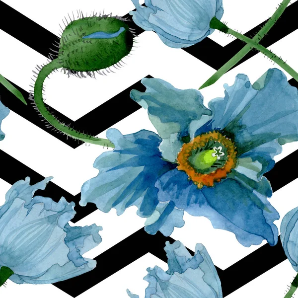 Mavi haşhaş çiçek botanik çiçekleri. Suluboya arka plan illüstrasyon seti. Kesintisiz arka plan deseni. — Stok fotoğraf