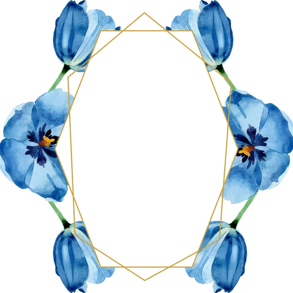 Fleurs botaniques florales de tulipe bleue. Ensemble d'illustration de fond aquarelle. Cadre bordure ornement carré . — Photo