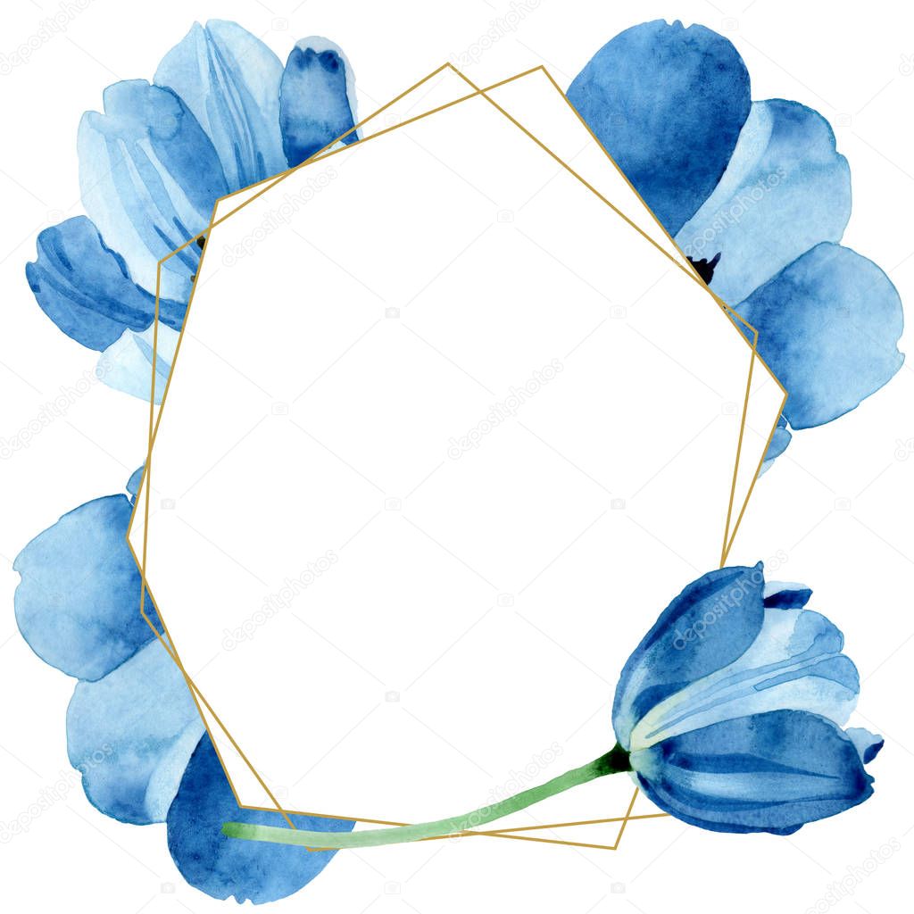 Blue tulip floral botanical flowers. Watercolor background illustration set. Frame border ornament square.