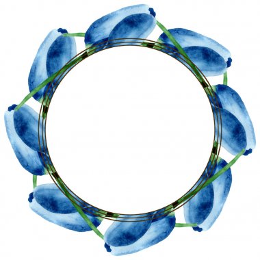 Mavi lale çiçek botanik çiçekleri. Suluboya arka plan illüstrasyon seti. Çerçeve kenarlık süs karesi.