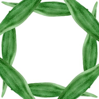 Lale yeşili çiçek botanik çiçekleri bırakır. Suluboya arka plan illüstrasyon seti. Çerçeve kenarlık süs karesi.