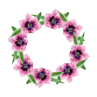 Pembe laleler çiçek botanik çiçekleri. Suluboya arka plan illüstrasyon seti. Çerçeve kenarlık süs karesi.