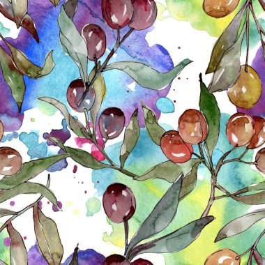 Siyah ve yeşil meyveli zeytin dalı. Suluboya arka plan illüstrasyon seti. Kesintisiz arka plan deseni.