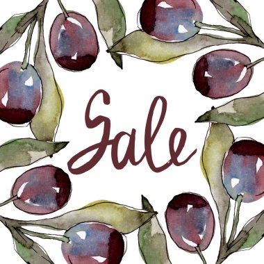 Siyah ve yeşil meyveli zeytin dalı. Suluboya arka plan illüstrasyon seti. Çerçeve kenarlık süs karesi.