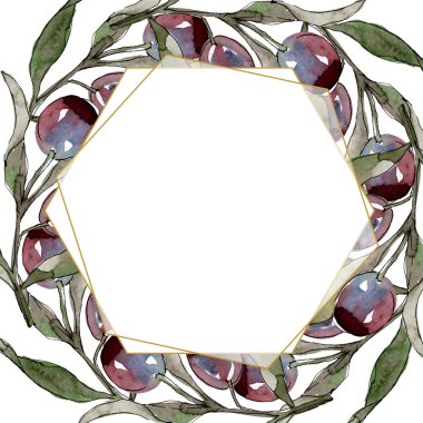 Siyah ve yeşil meyveli zeytin dalı. Suluboya arka plan illüstrasyon seti. Çerçeve kenarlık süs karesi.