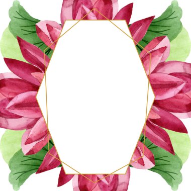 Kırmızı lotus çiçek botanik çiçek. Suluboya arka plan illüstrasyon seti. Çerçeve kenarlık süs karesi.