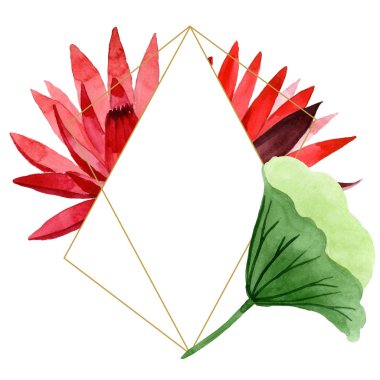 Kırmızı lotus çiçek botanik çiçek. Suluboya arka plan illüstrasyon seti. Çerçeve kenarlık süs karesi.