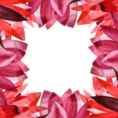 Kırmızı lotus çiçek botanik çiçek. Suluboya arka plan illüstrasyon seti. Çerçeve kenarlık süs karesi.