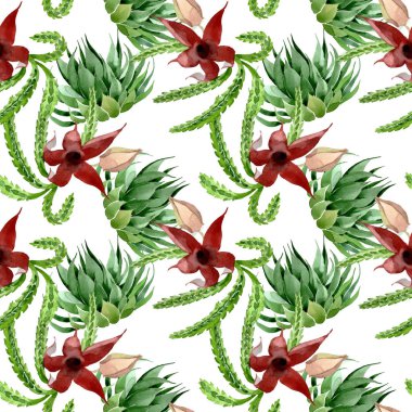 Yeşil kaktüs çiçek botanik çiçek. Suluboya arka plan illüstrasyon seti. Kesintisiz arka plan deseni.