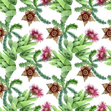 Yeşil kaktüs çiçek botanik çiçek. Suluboya arka plan illüstrasyon seti. Kesintisiz arka plan deseni.