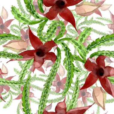 Yeşil kaktüs çiçek botanik çiçek. Suluboya arka plan illüstrasyon seti. Kesintisiz arka plan deseni.