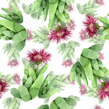 Yeşil kaktüs çiçek botanik çiçek. Suluboya arka plan illüstrasyon seti. Kesintisiz arka plan deseni.